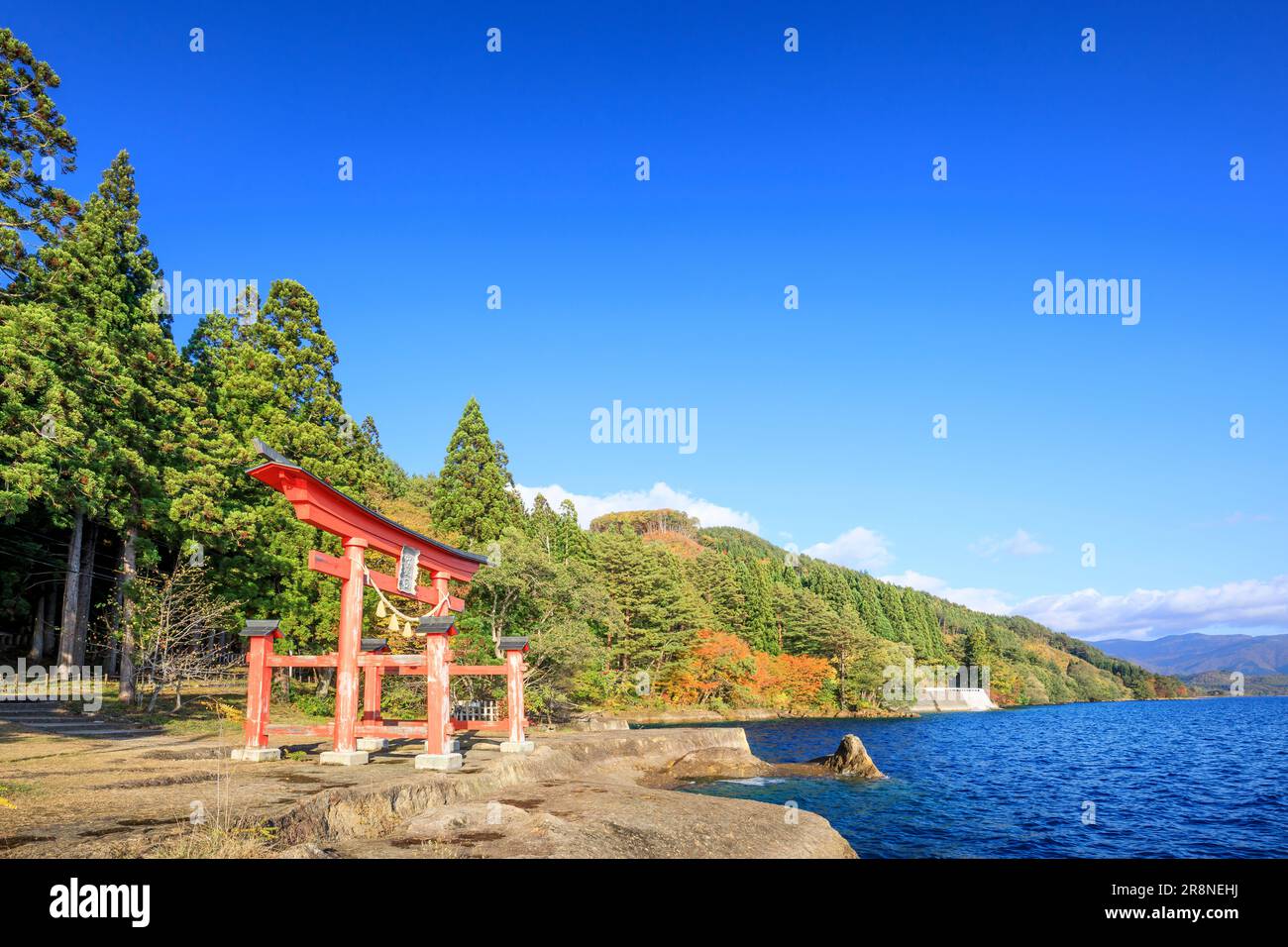 Lago Tazawa e porta Torii Foto Stock