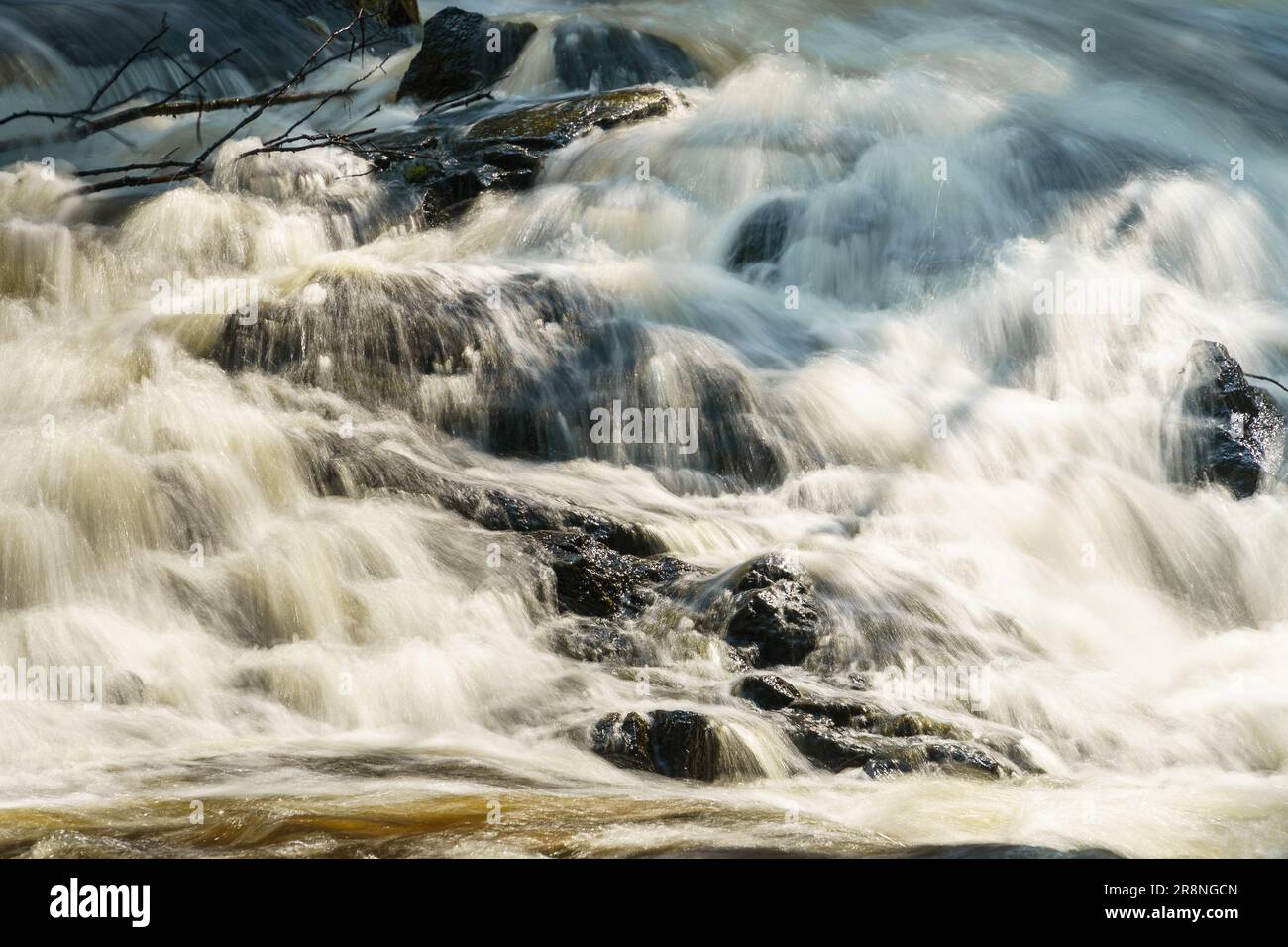 Rapide da vicino. Parco Nazionale di Leivonmäki, Finlandia in primavera. Foto Stock