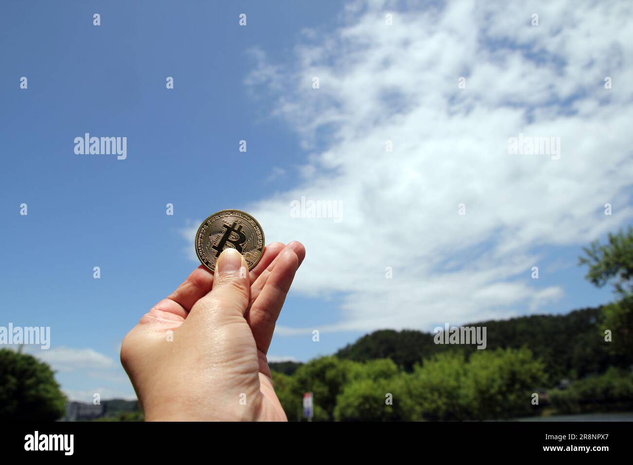 Bitcoin moneta in oro, mano tenere bitcoin nel parco e sfondo naturale Foto Stock