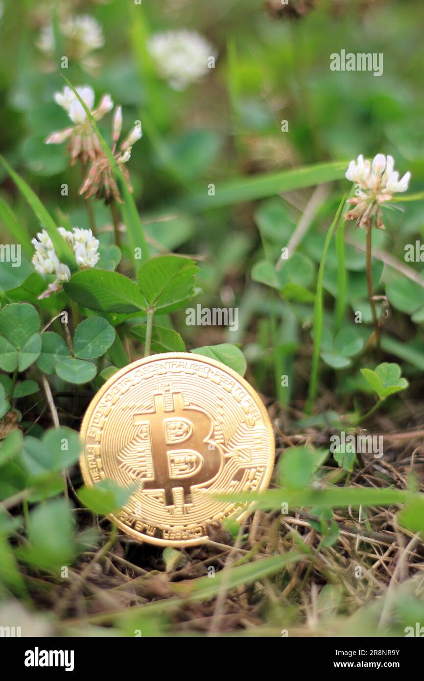 Bitcoin moneta in oro, mano tenere bitcoin nel parco e sfondo naturale Foto Stock