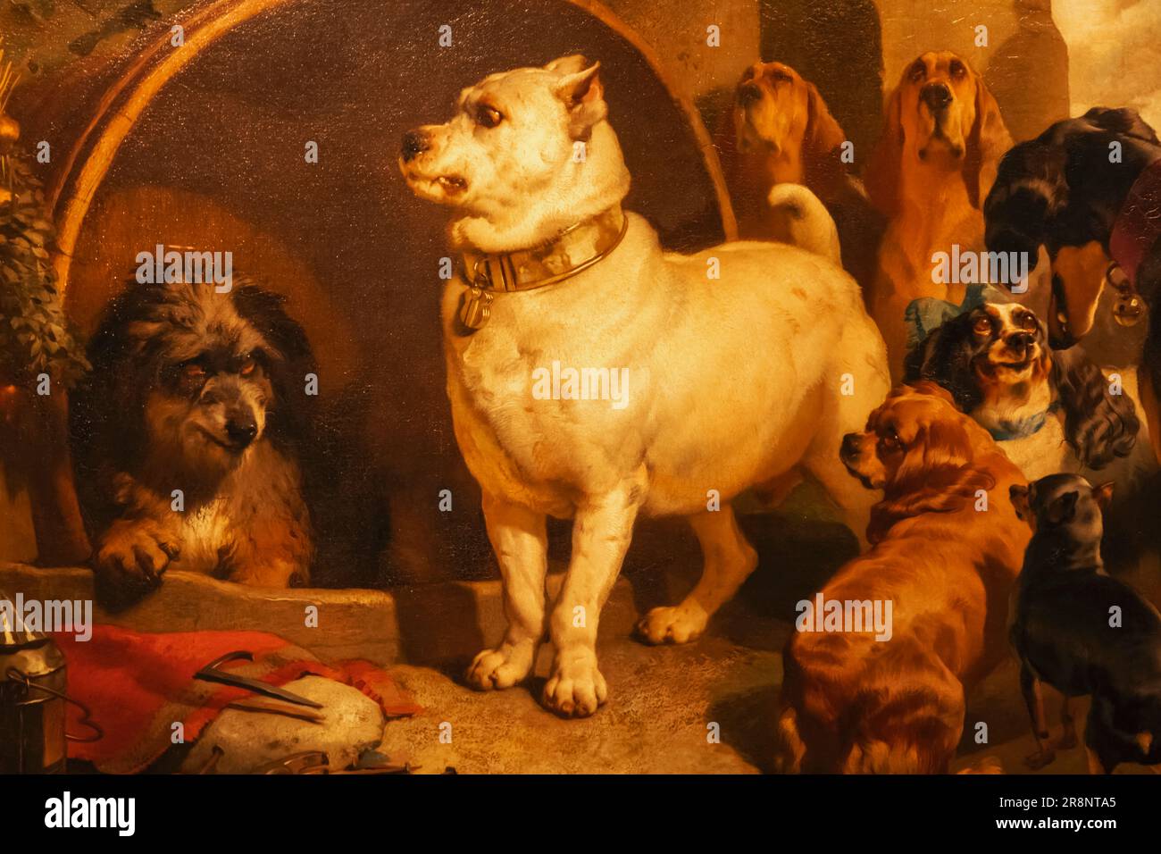 Dipinto dei cani intitolato 'Alexander and Diogenes' di Edwin Landseer datato 1848 Foto Stock