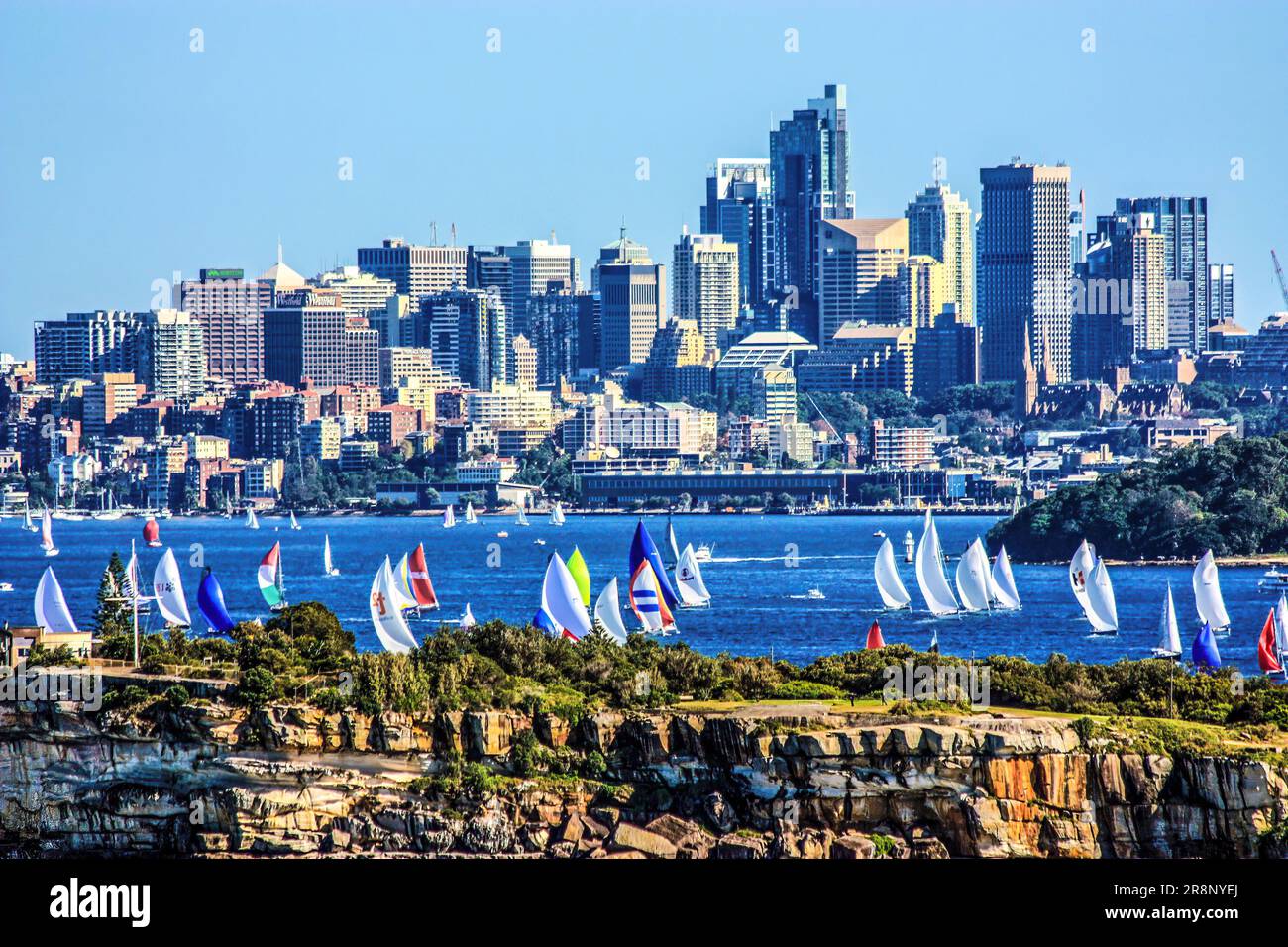 Regata di Sydney Foto Stock