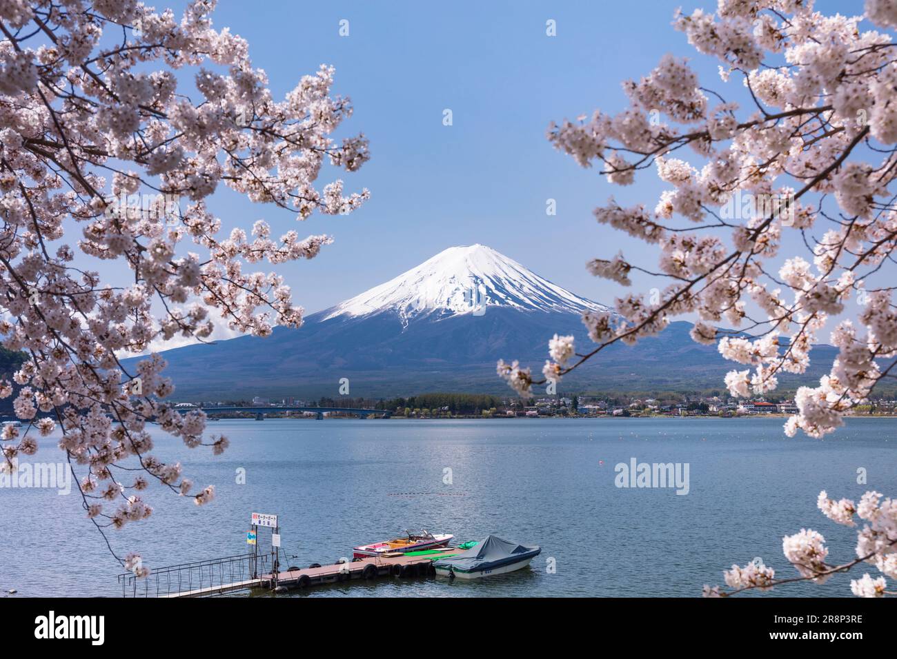 SuperPower® Puzzle 1000 Pezzi In Legno – Monte Fuji E Fiori Di Ciliegio, Dimensioni 50x75 Cm - 3