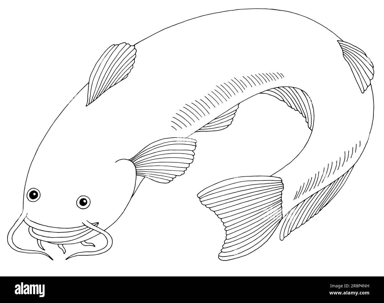 Vettore di illustrazione isolato in bianco e nero grafico Catfish Illustrazione Vettoriale