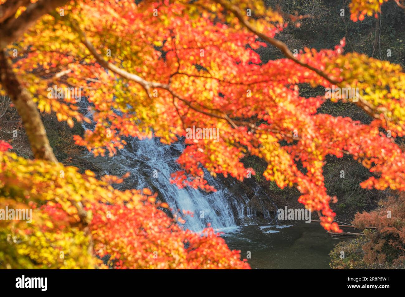 Cascate di Awamata nella gola di Yoro Foto Stock