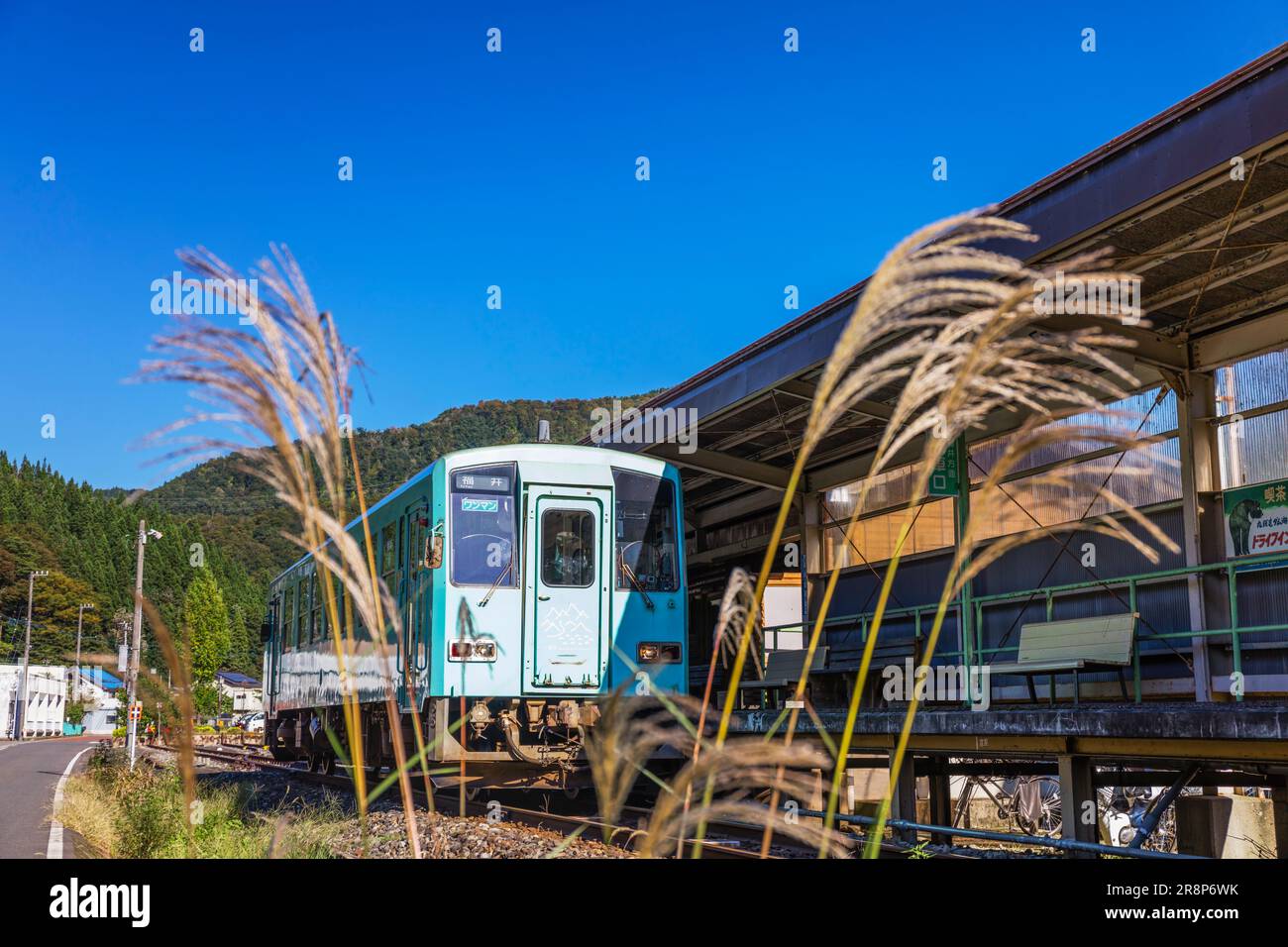 Treno regolare sulla linea del lago Kuzuryu Foto Stock