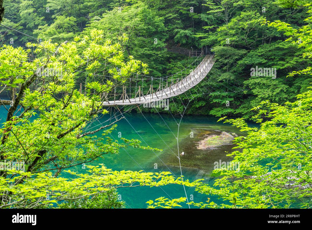 Dream Suspension Bridge a Sunmatakyo Foto Stock