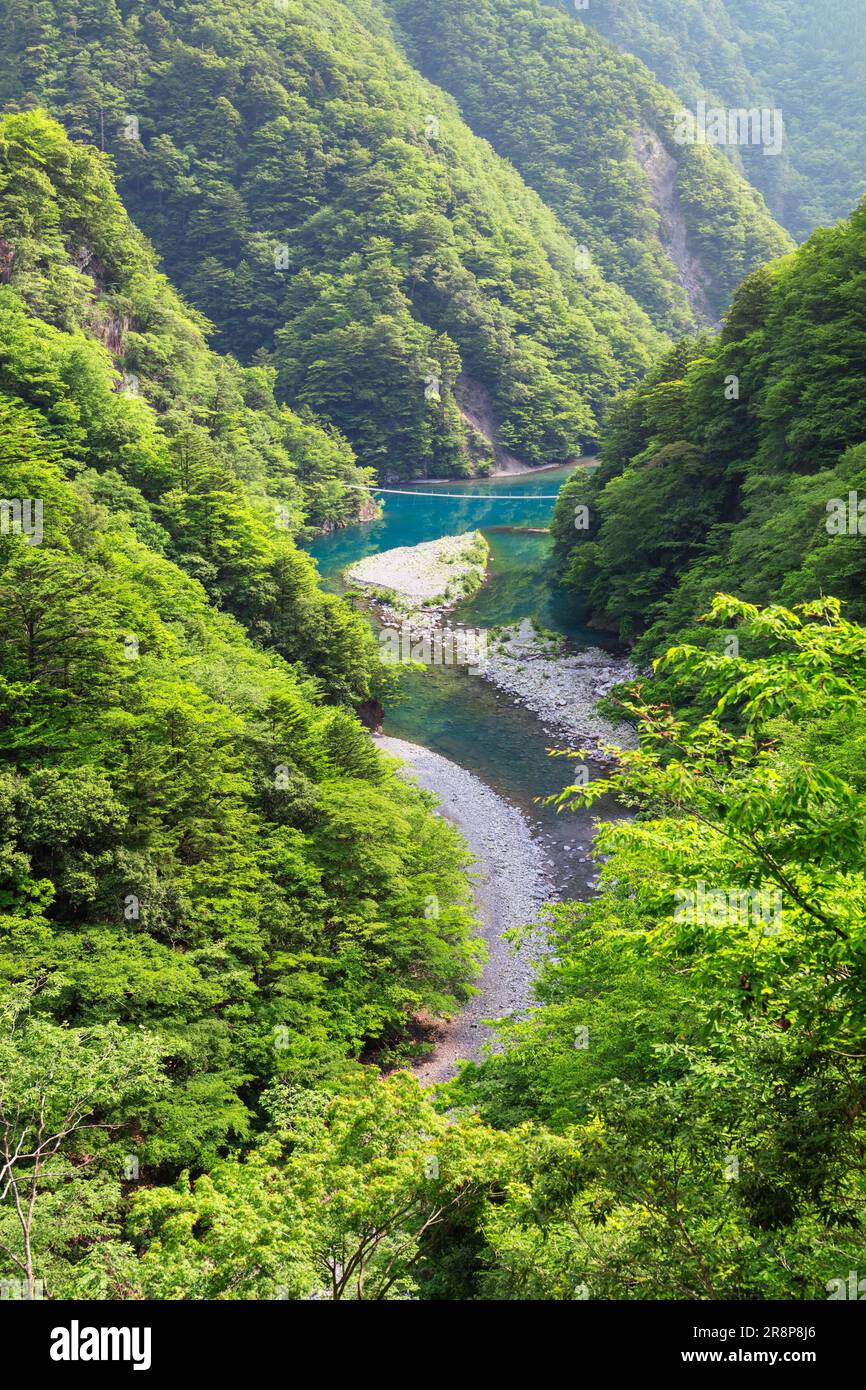 Dream Suspension Bridge a Sunmatakyo Foto Stock