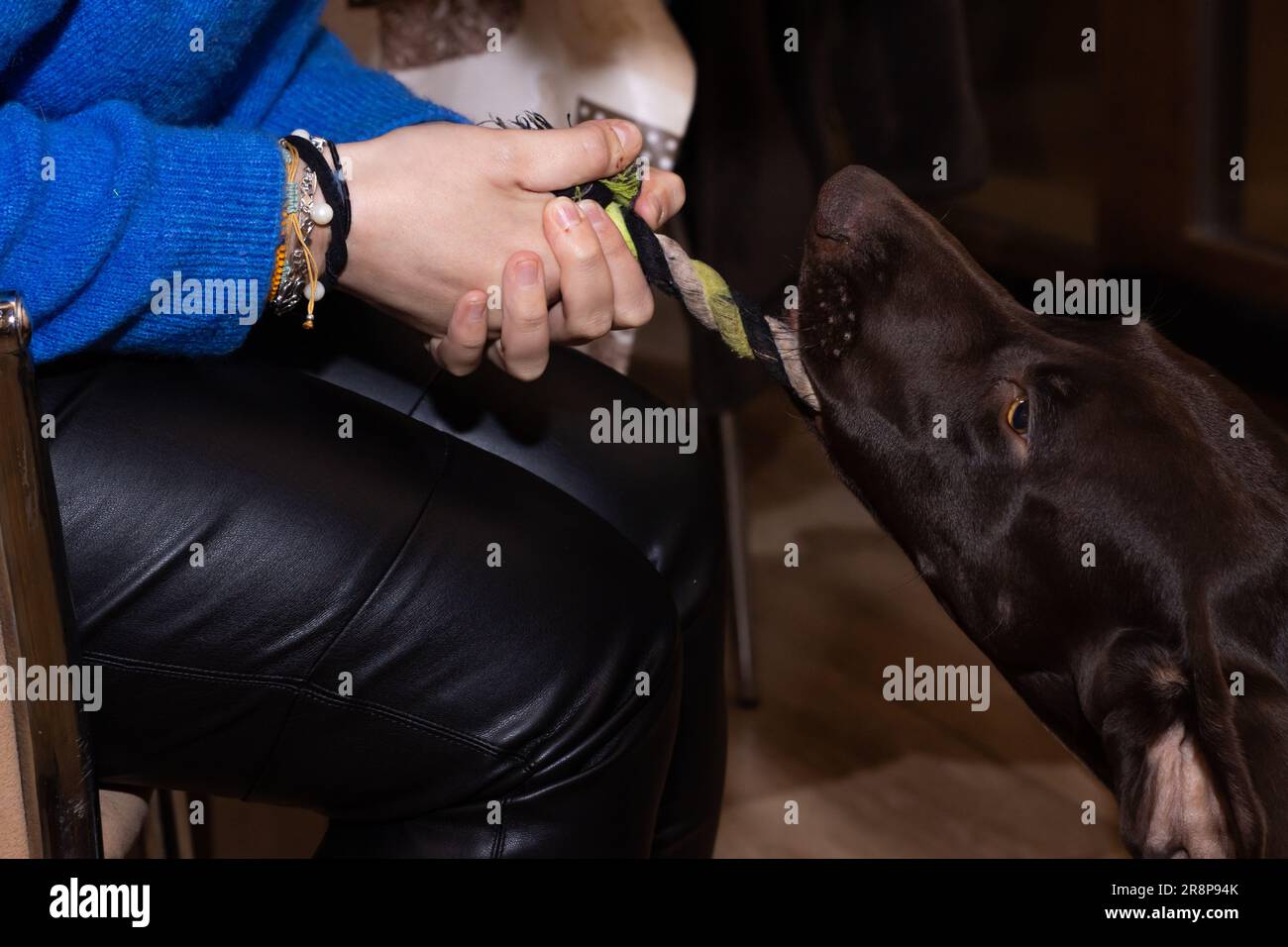 Un giovane adulto è seduto in un bar, nutrendo con amore il cucciolo da un cucchiaio Foto Stock