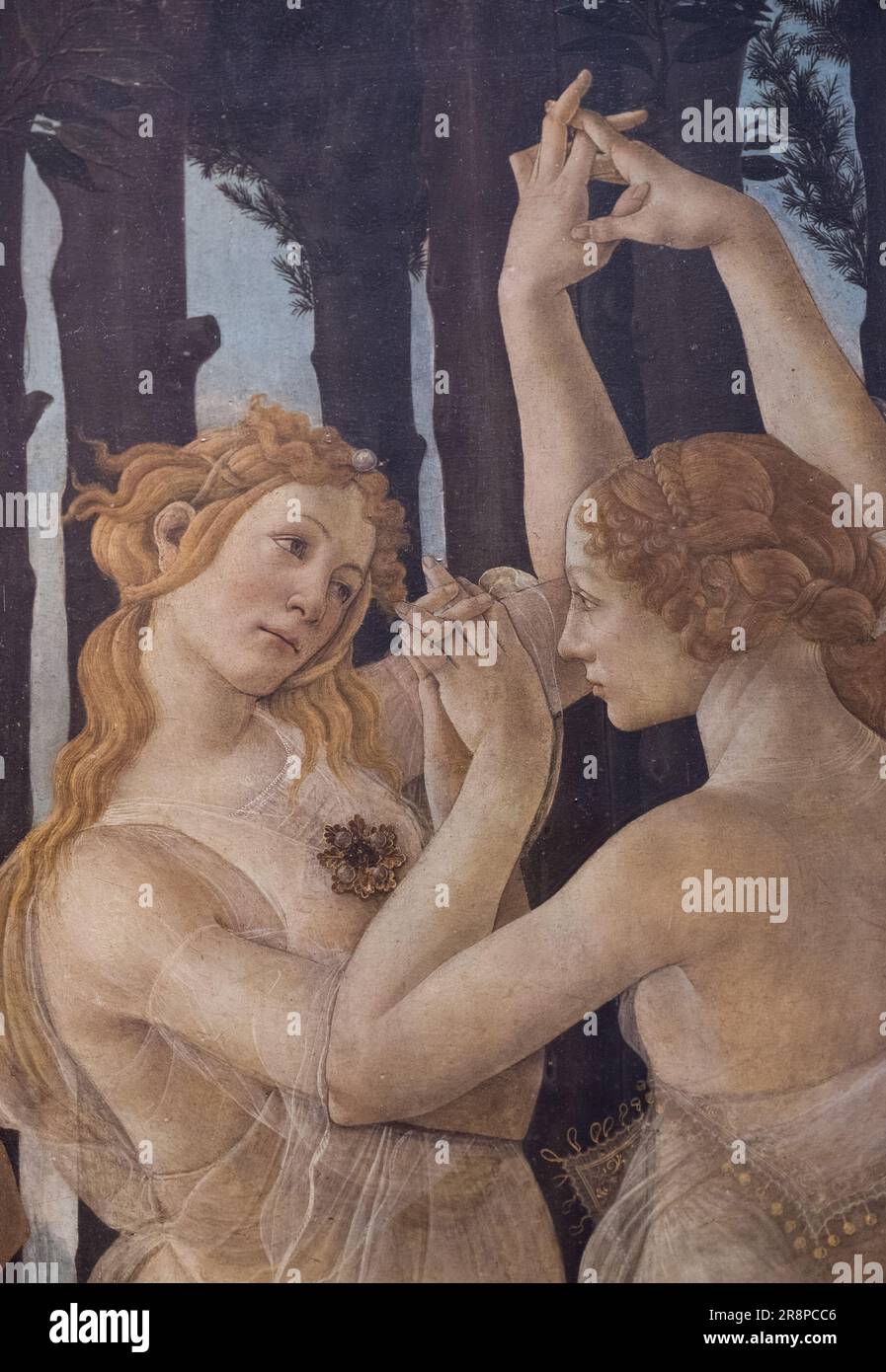 Firenze, Toscana, Italia - 24 maggio 2023: Frammento di Primavera capolavoro di pittura - le Grazie di Sandro Botticelli pittore italiano del Rinascimento in U Foto Stock