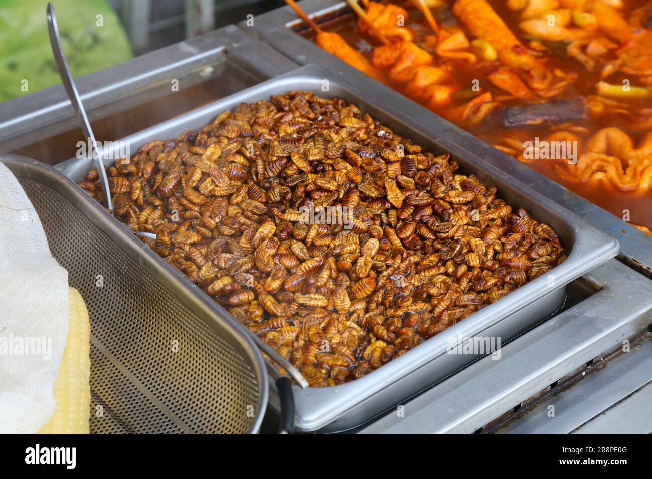 Pupa di bachi da seta - snack Street food a Busan, Corea del Sud. Insetti come cibo. Foto Stock