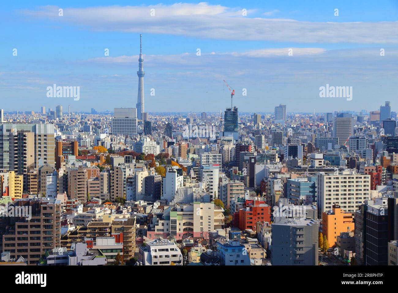 TOKYO, GIAPPONE - 29 NOVEMBRE 2016: Veduta aerea di Bunkyo Ward a Tokyo. Tokyo è la capitale del Giappone. 37.8 milioni di persone vivono nella sua area metropolitana. Foto Stock
