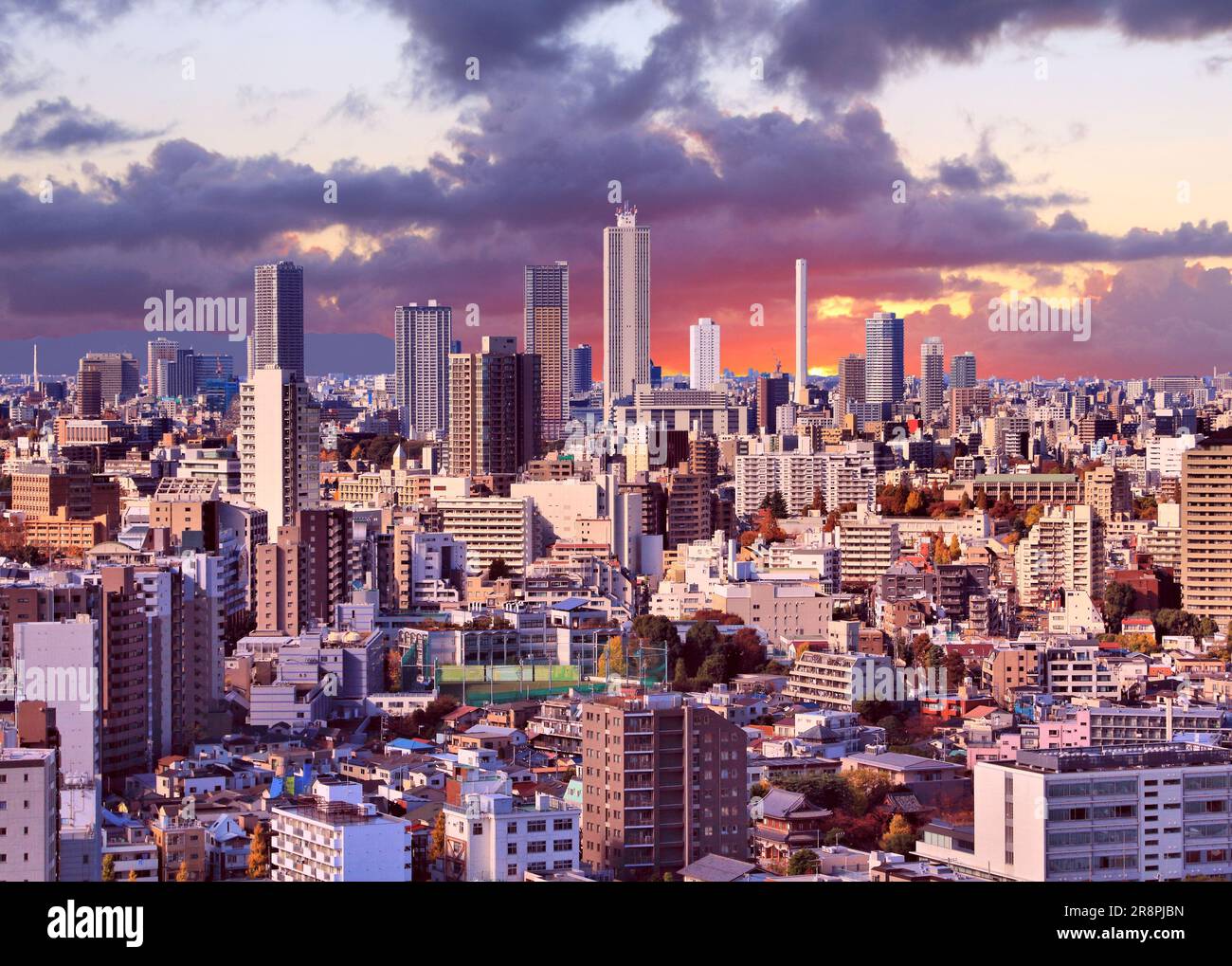 Vista del tramonto della città di Tokyo con il quartiere di Koishikawa (Bunkyo Ward) e lo skyline di Ikebukuro (Toshima Ward). Tokyo, Giappone. Foto Stock