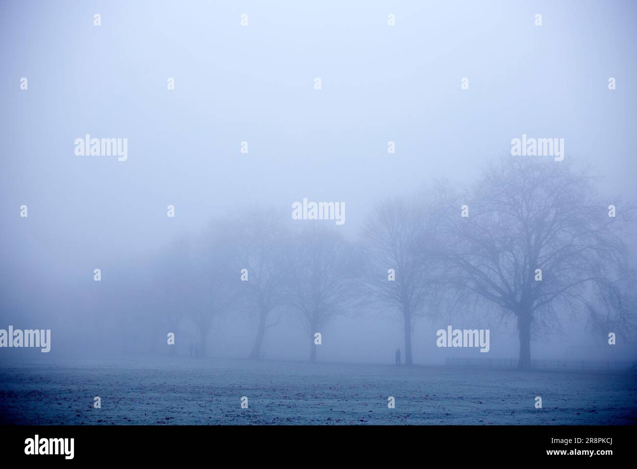 Una fitta nebbia avvolge un parco a Ilford, nella zona est di Londra, al mattino. Foto Stock