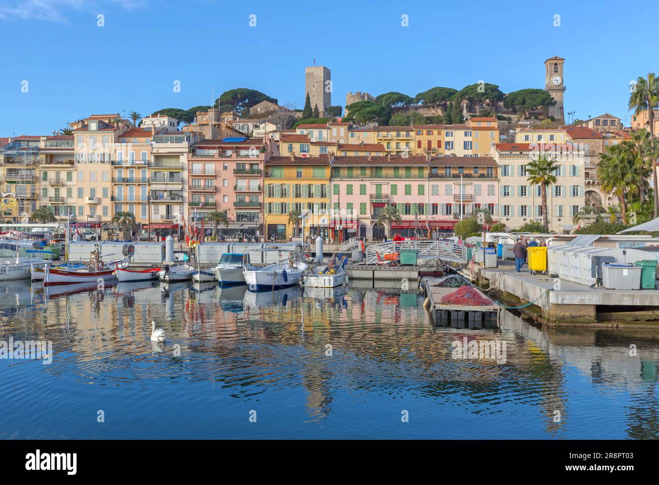 Cannes, Francia - 1 febbraio 2016: Barche ormeggiate a Calm Water Marina Harbour a Cannes, Francia. Foto Stock