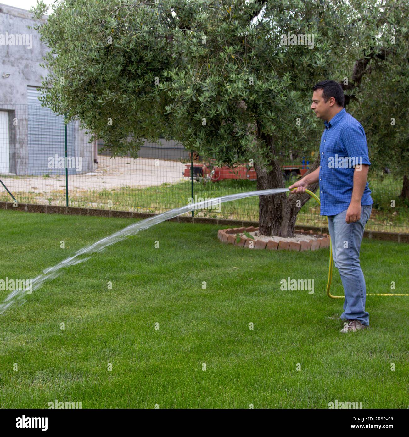 Immagine di un uomo che annaffia il suo giardino con un tubo. Cura e manutenzione del prato e riferimento ai rifiuti idrici e alla siccità. Foto Stock