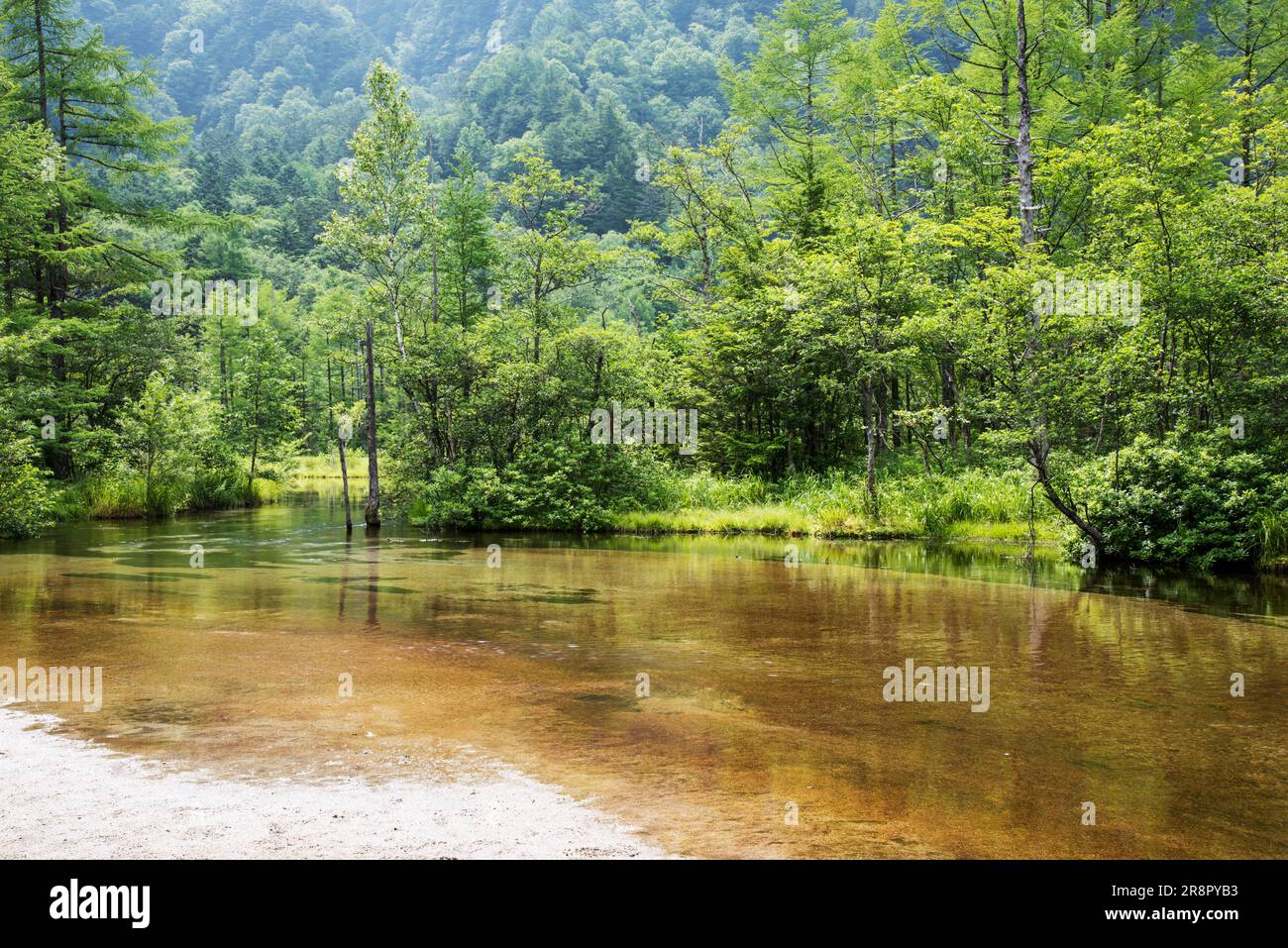 Stagno di Tashiroike a Kamikochi Foto Stock