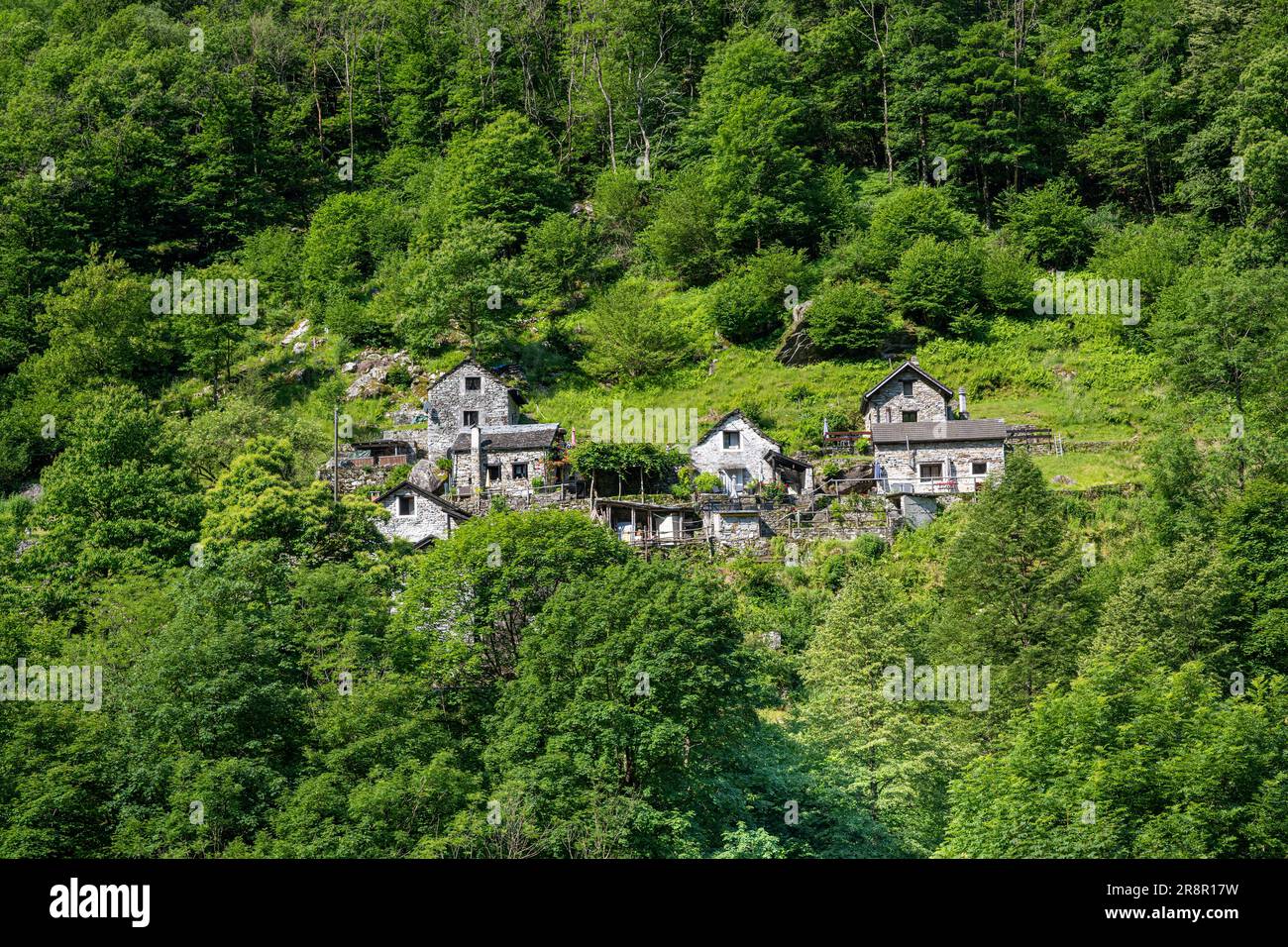 Tipiche case in pietra ticinese a Frasco, Val Verzasca, Tessin, Ticino, Svizzera Foto Stock