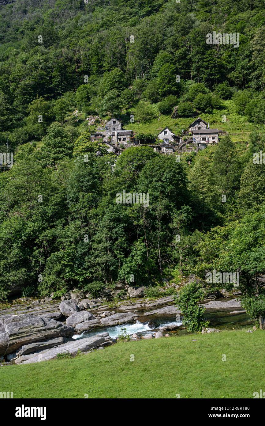 Tipiche case in pietra ticinese a Frasco, Val Verzasca, Tessin, Ticino, Svizzera Foto Stock
