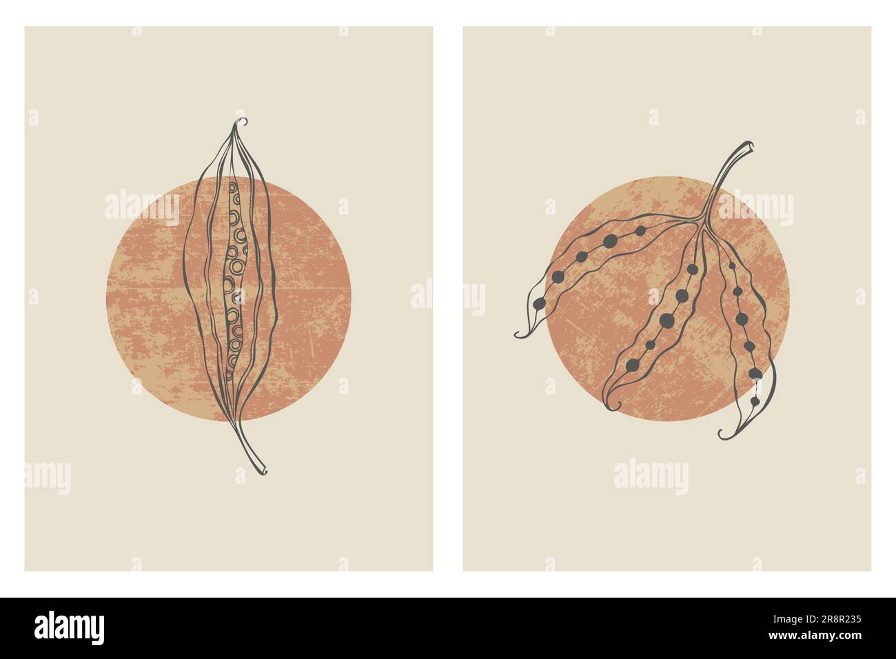 Poster con elementi di design minimalista in stile Boho . Parete art pod seme, casa deco, disegnata a mano. Illustrazione vettoriale Illustrazione Vettoriale