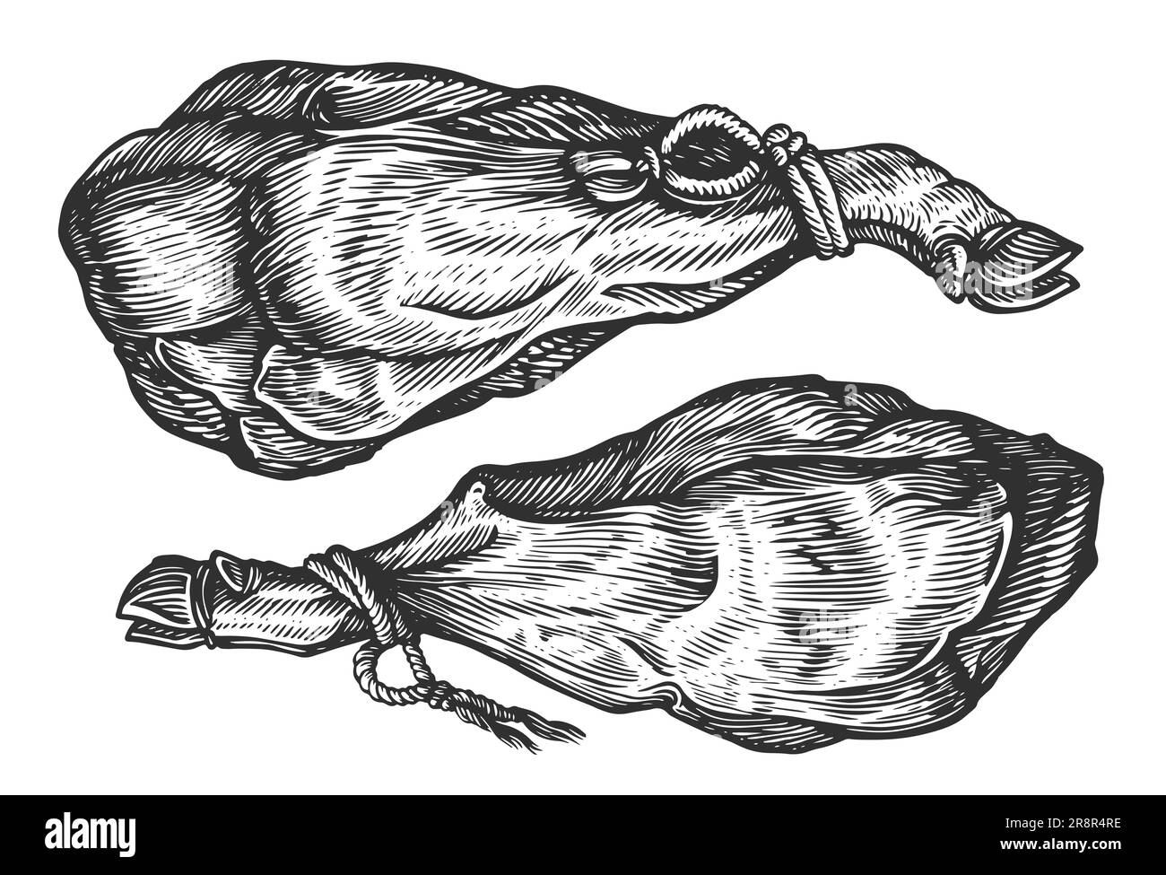 Intera gamba di prosciutto iberico spagnolo con corda. Carne secca, illustrazione di schizzo di cibo di fattoria Foto Stock