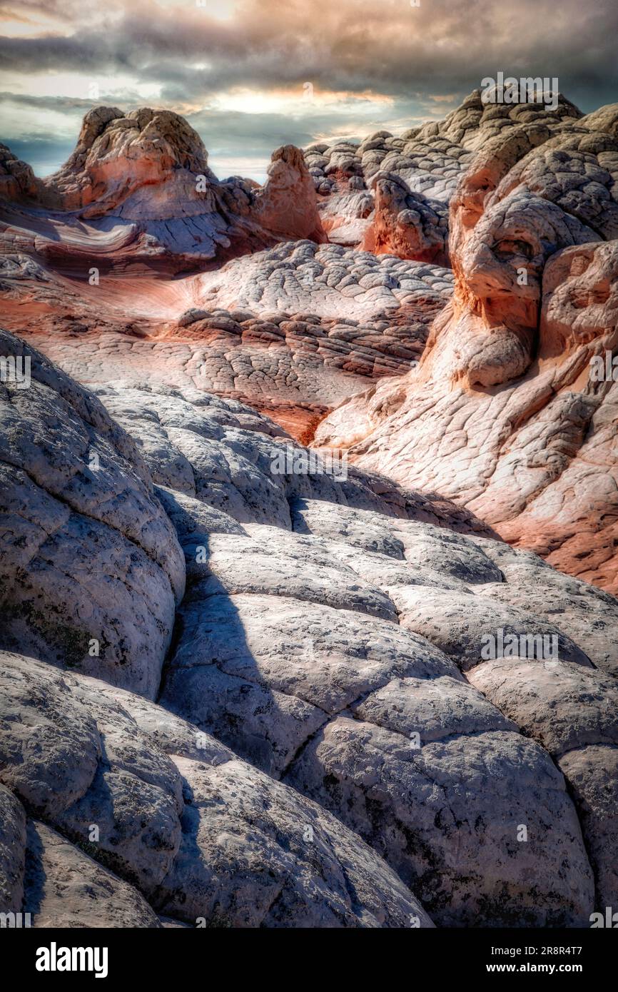 La White Pocket on BLM sbarca nel Paria Canyon - Vermillion Cliffs National Monument, Arizona. Foto Stock