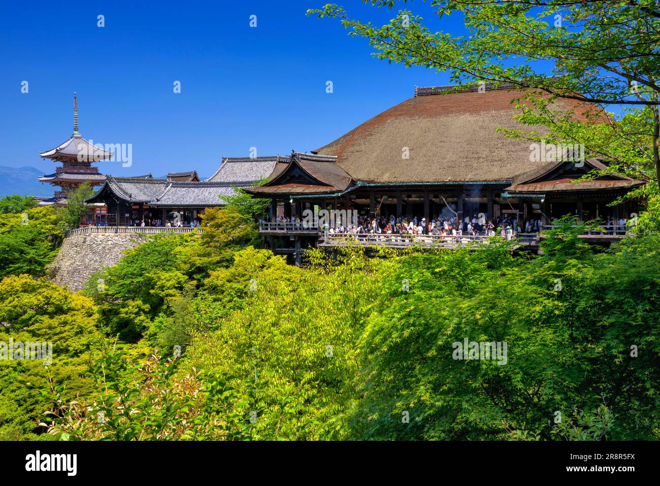 Palco in legno e pagoda a tre piani del tempio Kiyomizudera ricoperta di verde verdeggiante Foto Stock