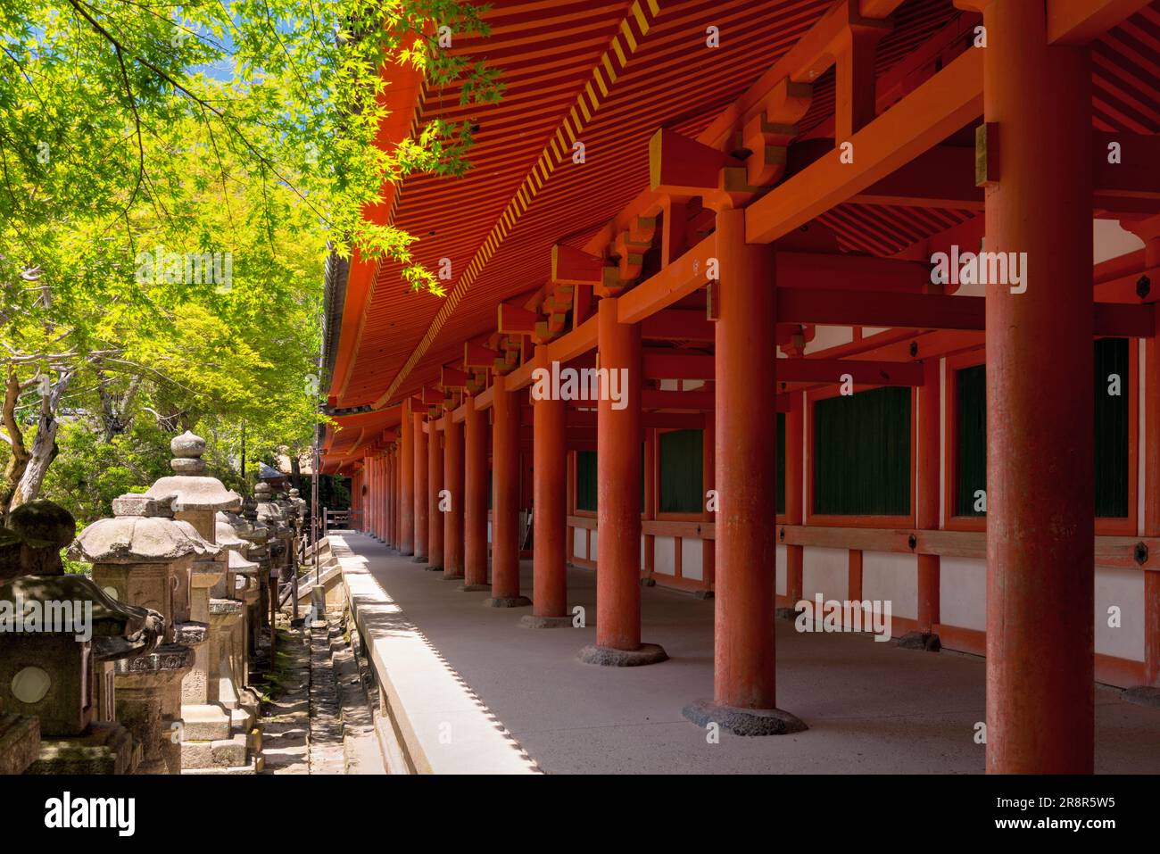 Corridoio e lanterne di pietra del santuario Kasuga taisha Foto Stock