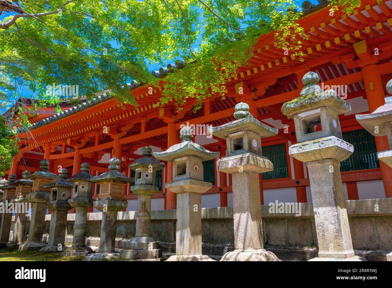 Corridoio e lanterne di pietra del santuario Kasuga taisha Foto Stock