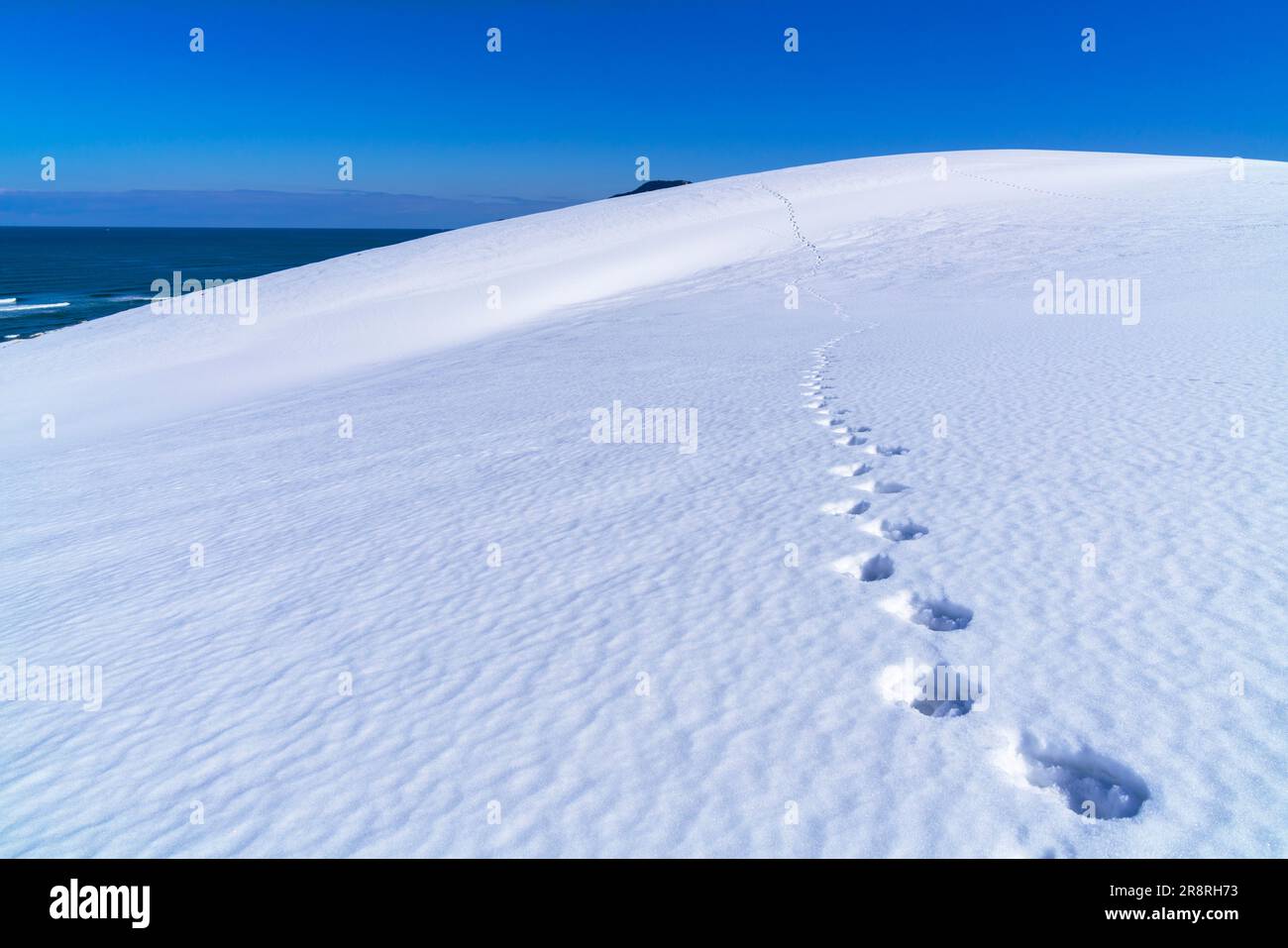 Tottori dune di sabbia sotto la neve Foto Stock