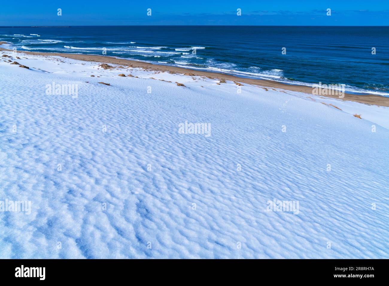 Tottori dune di sabbia sotto la neve Foto Stock