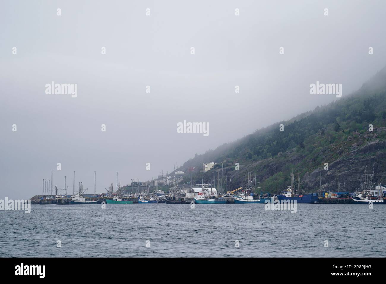 La nebbia marina sorge sopra il porto di San Giovanni a Terranova, Canada, mentre il pilota e quattro passeggeri del sommergibile Titan scomparso sono ritenuti morti dopo che è andato perso durante un viaggio al naufragio Titanic. Data immagine: Giovedì 22 giugno 2023. Foto Stock