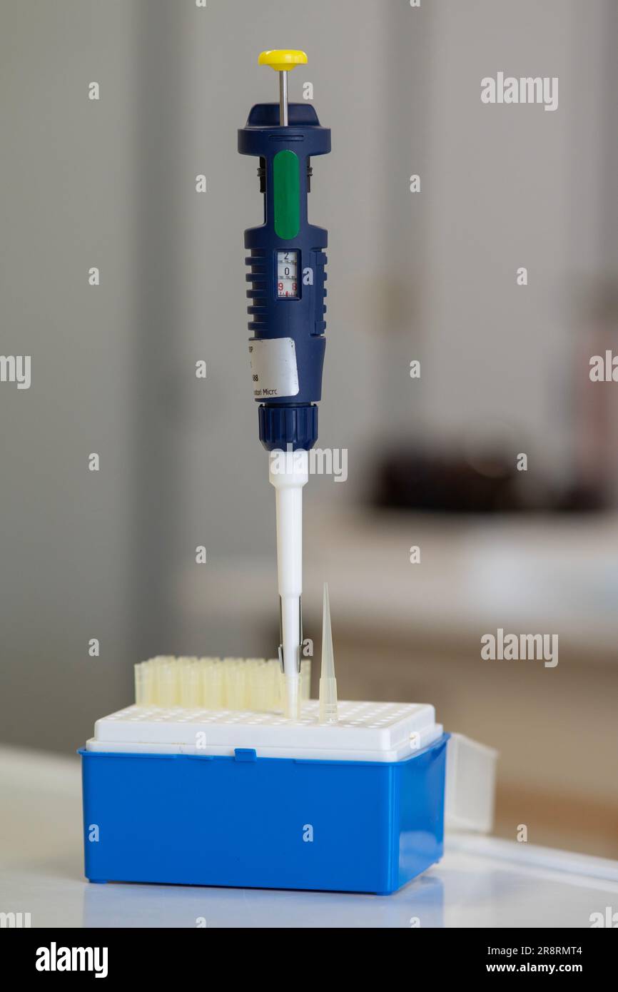 Micropipetta nel laboratorio di chimica. Foto Stock