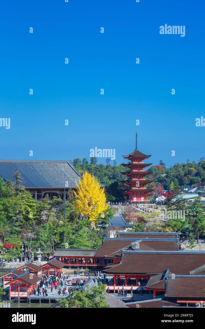 Santuario di Itsukushima in autunno Foto Stock