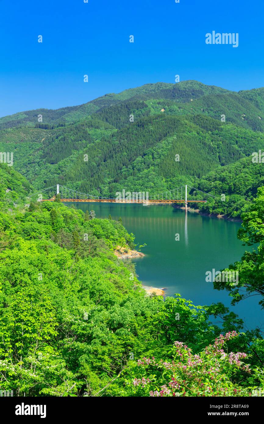 Lago Kuzuryu nel verde fresco Foto Stock