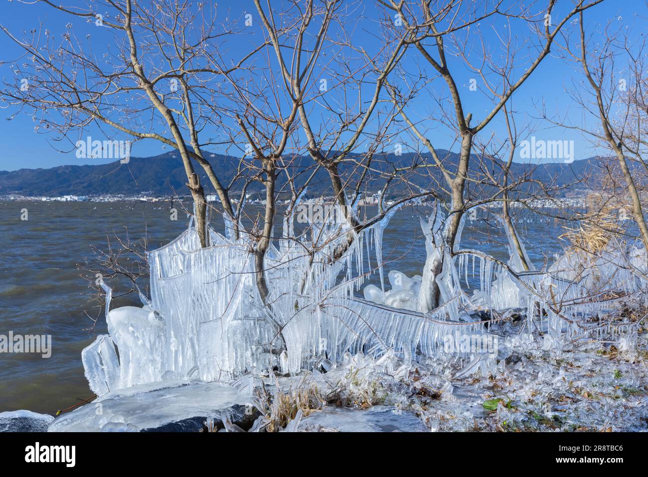 Lago Biwa e Mt. Hiei su Shibuki Ice Foto Stock