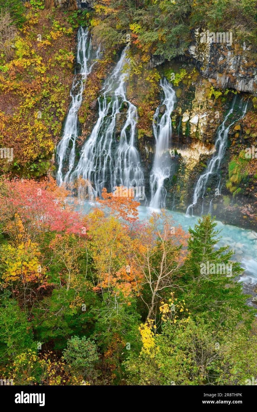 Cascata Shirahige in autunno Foto Stock