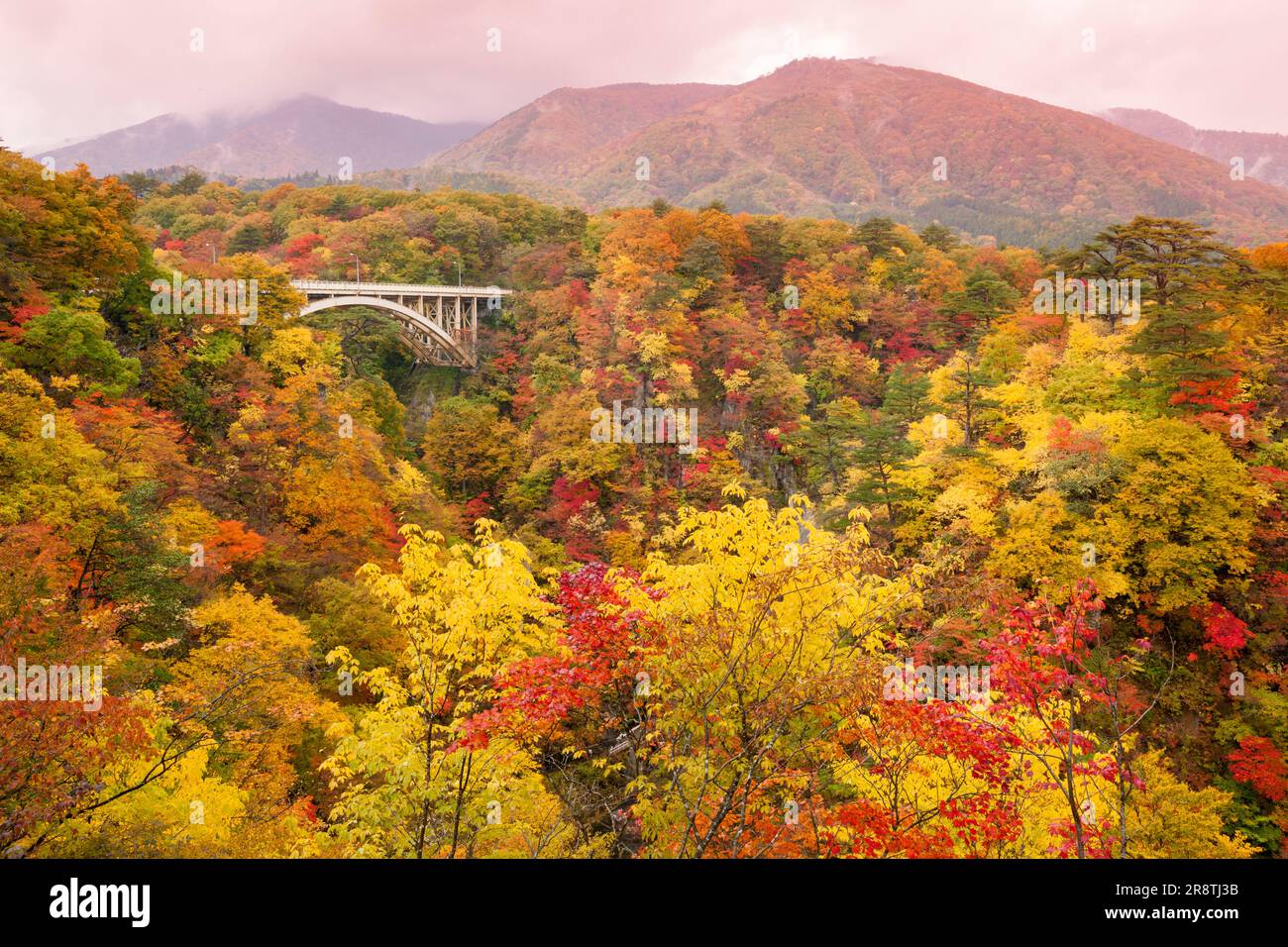 Naruko Gorge in autunno Foto Stock