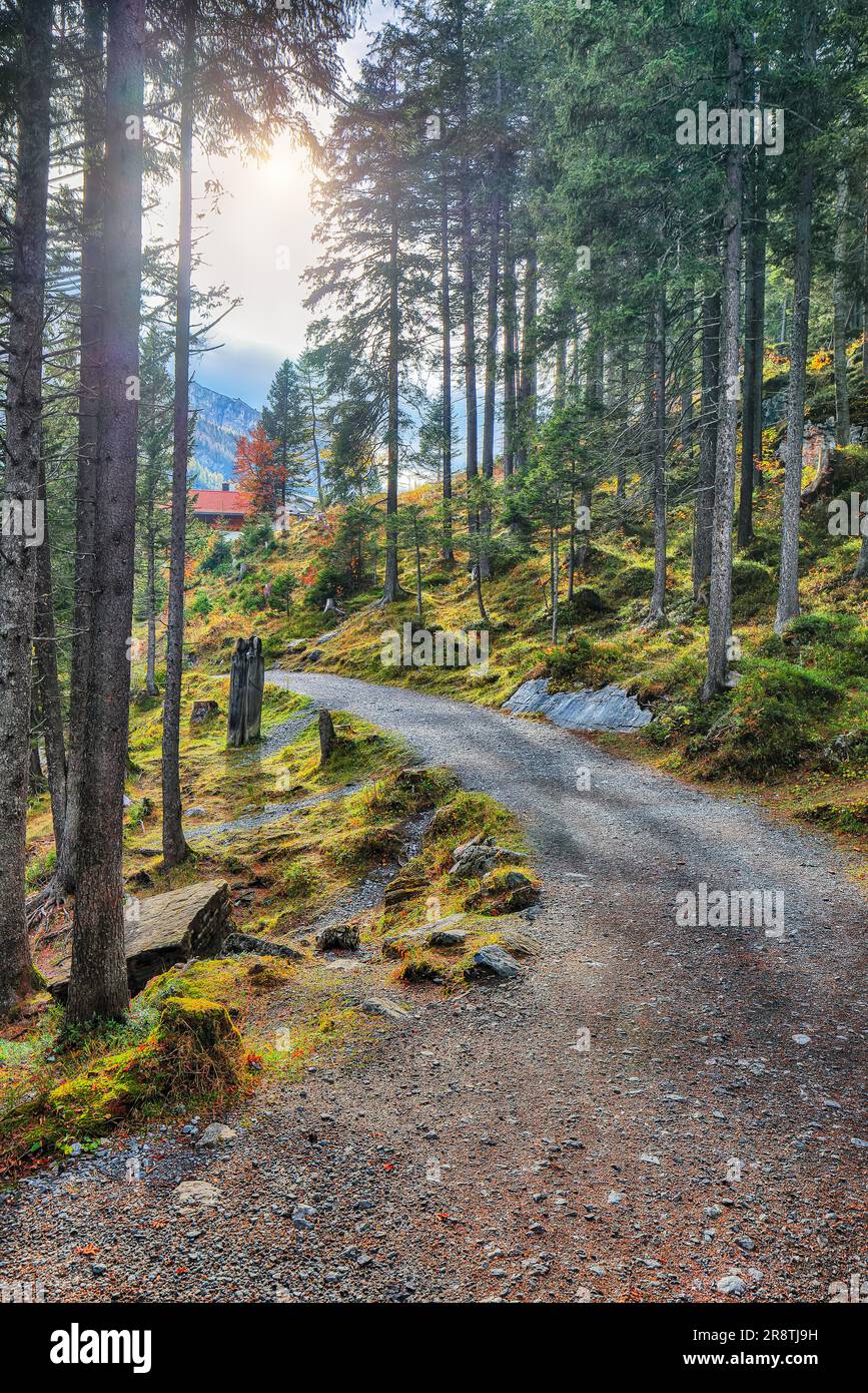 Incredibile vista autunnale della valle di Oeschinen. Scena delle Alpi svizzere. Ubicazione: Valle dell'Oeschinen, Cantone di Berna, Svizzera, Europa Foto Stock