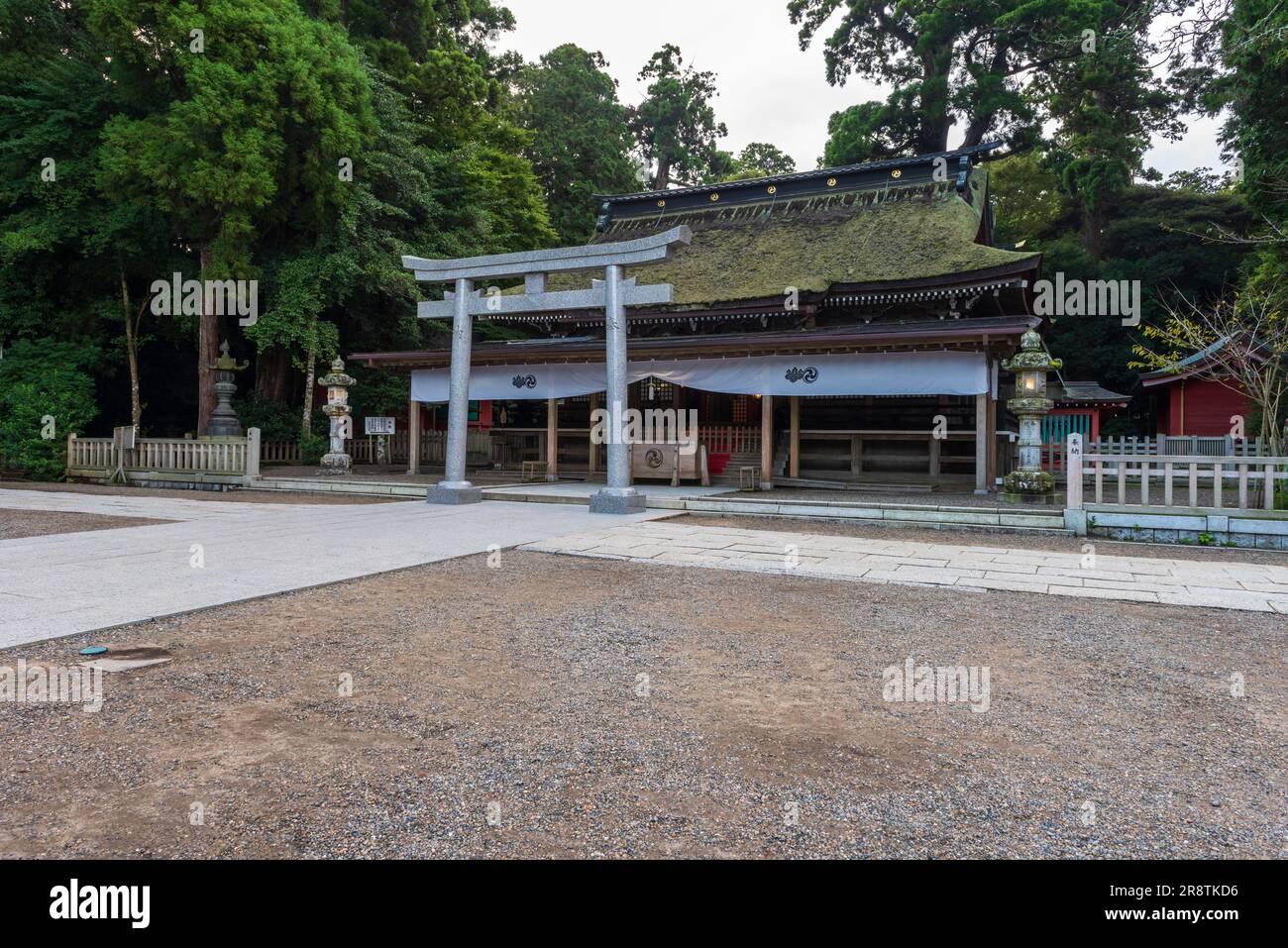 Santuario di Kashima Jingu Foto Stock