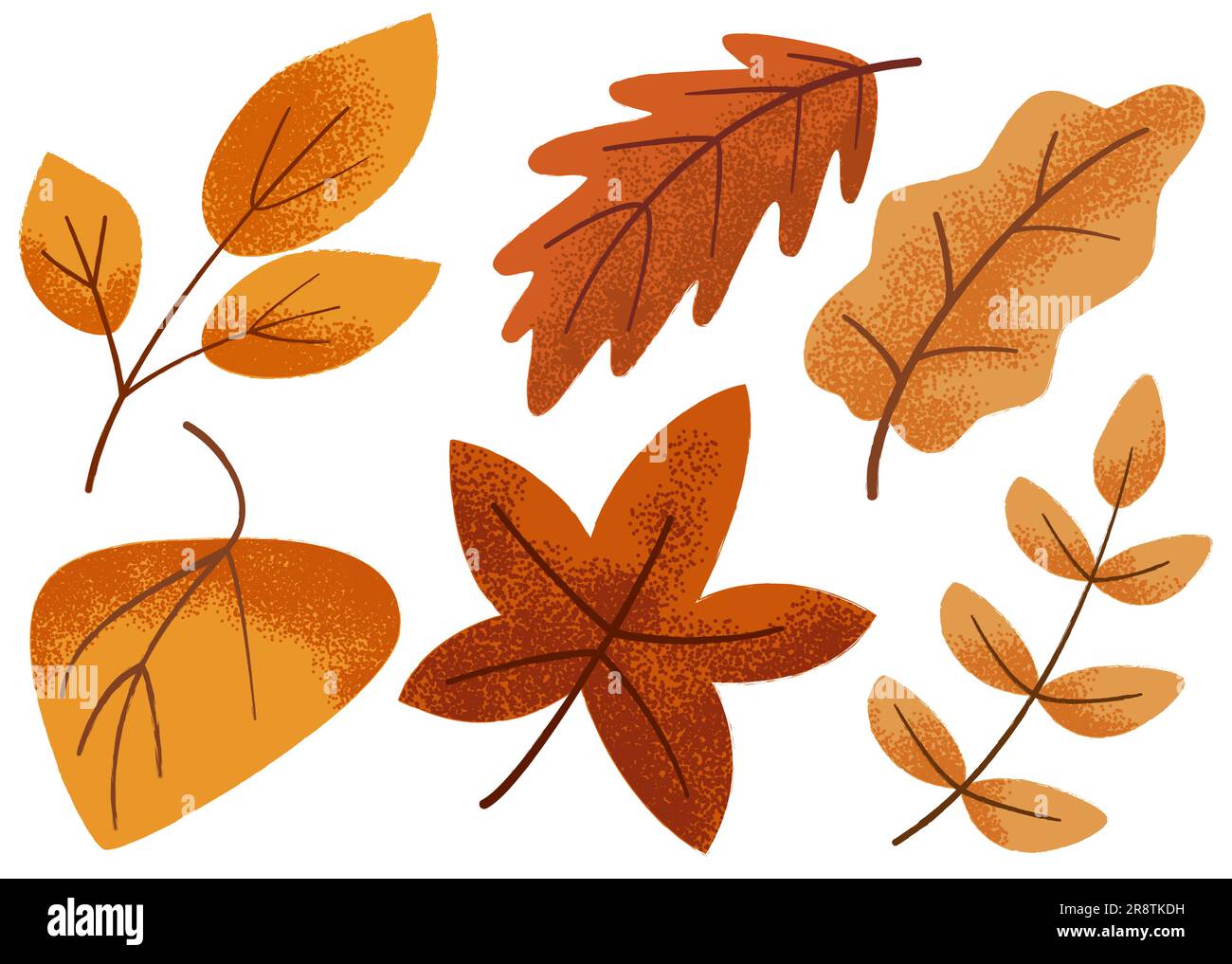foglie autunnali con texture set, illustrazione vettoriale isolata Illustrazione Vettoriale