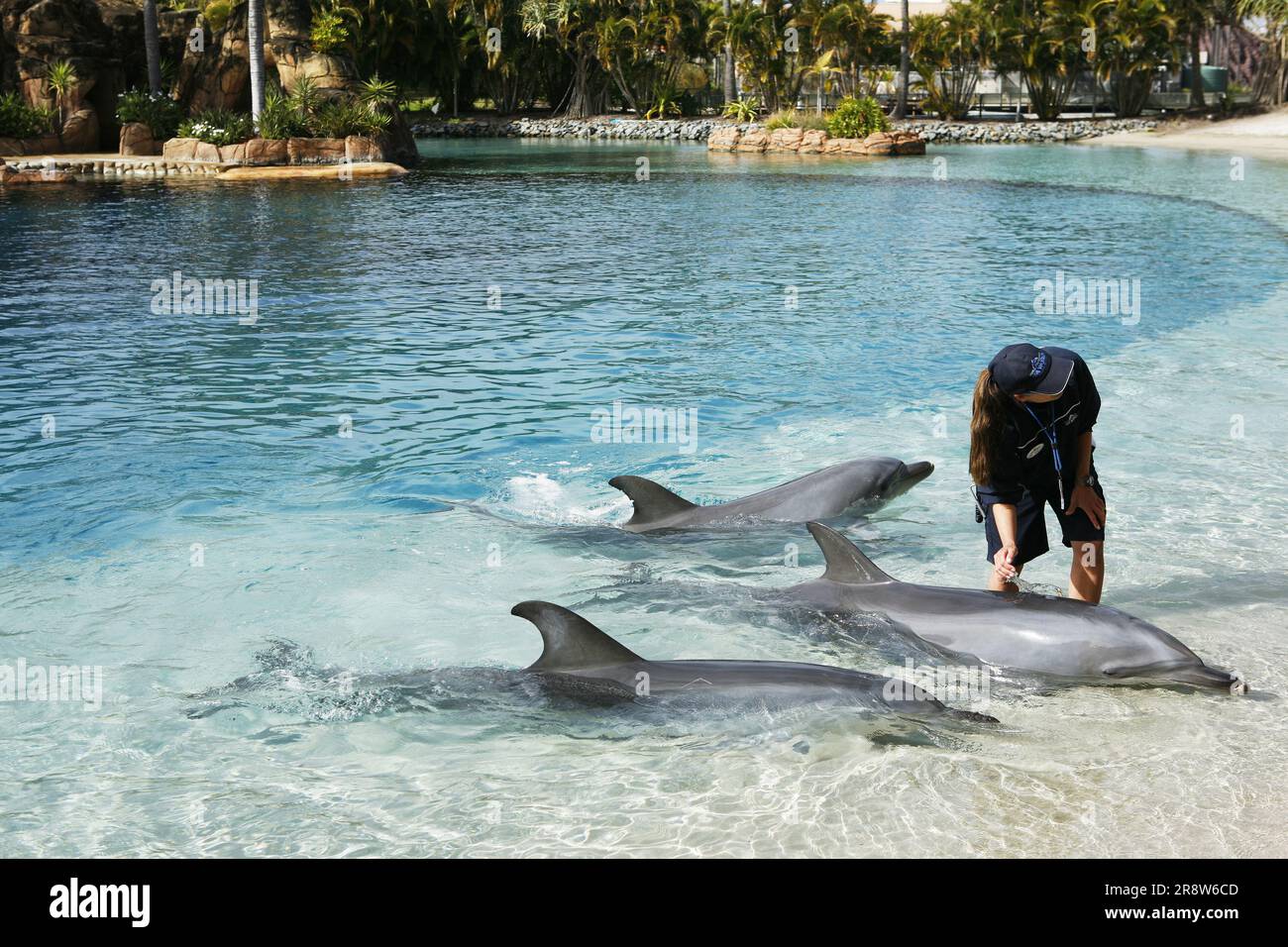 Un parco divertimenti sulla Gold Coast Foto Stock