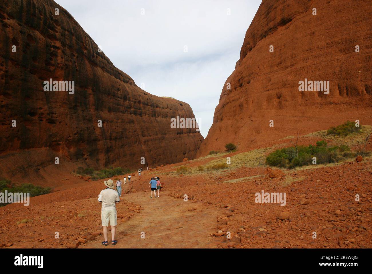 Il meraviglioso scenario di Katatjuta Foto Stock