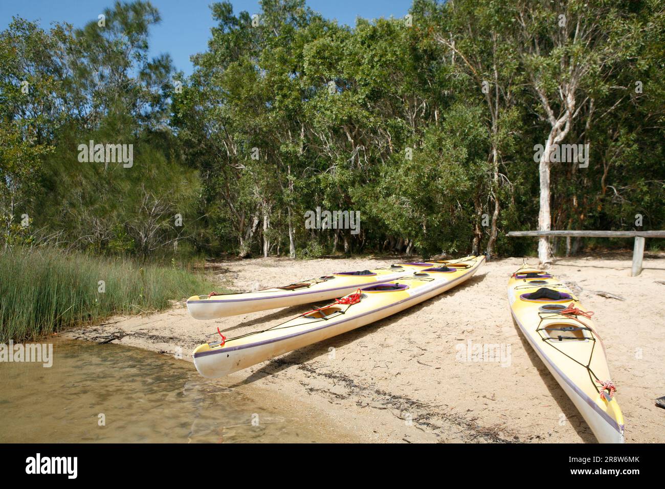 Canoa a Sunshine Coast, Queensland, Australia Foto Stock