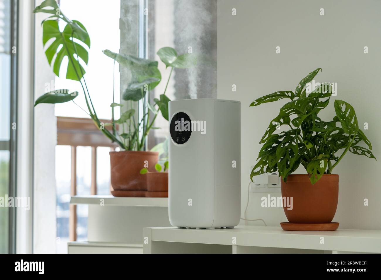 Umidificatore moderno a casa, inumidisce l'aria secca circondata da piante  interne. Concetto di umidificazione Foto stock - Alamy
