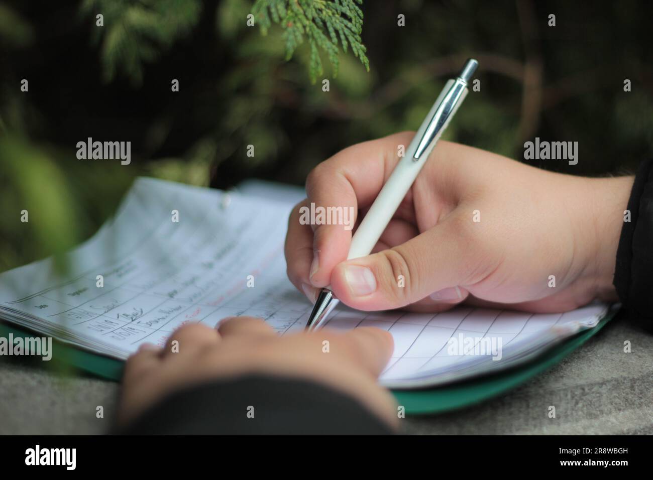 Firma di un libro commemorativo, in un cimitero di guerra 2019 Foto Stock