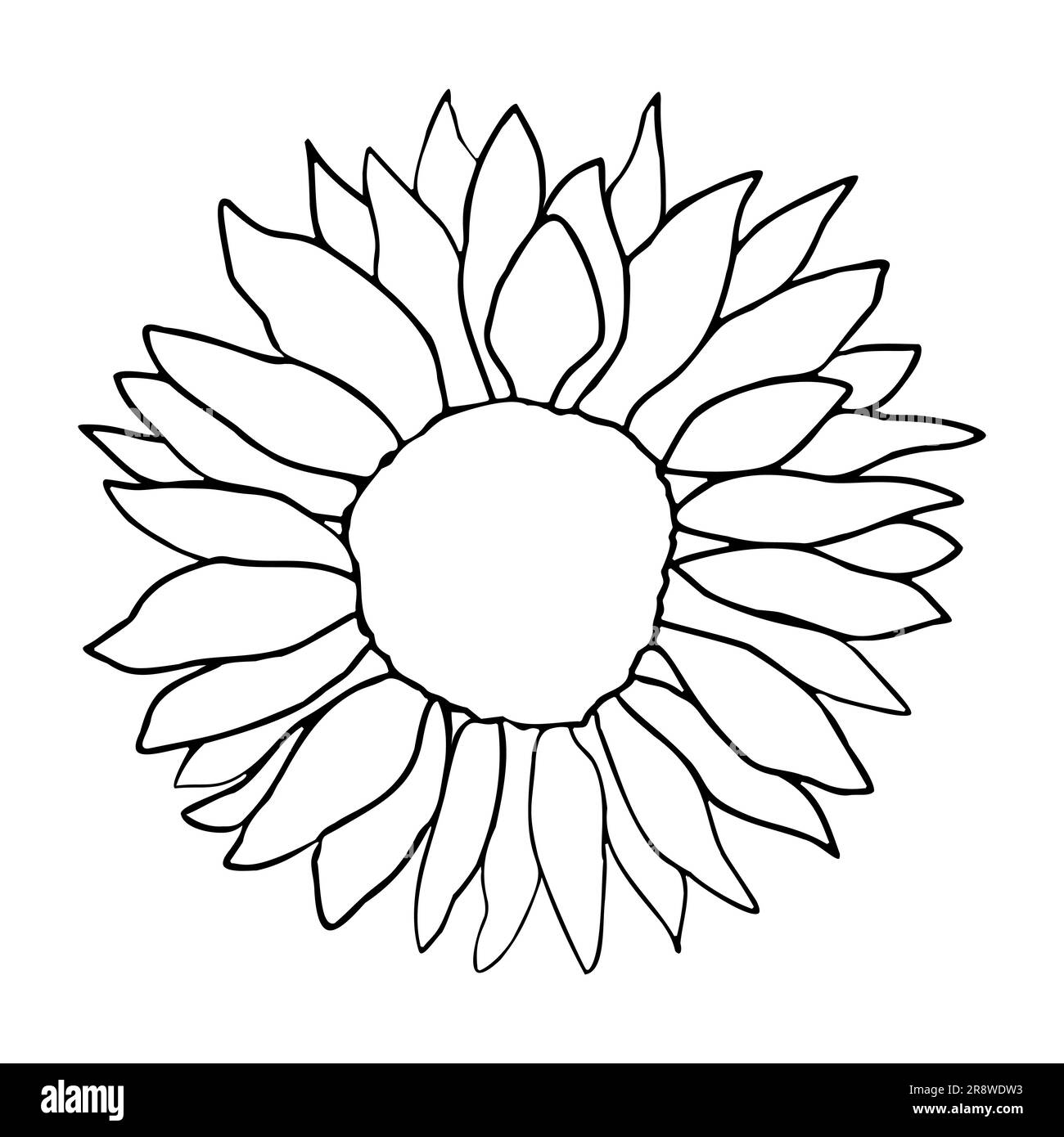 Decorazione di girasole carino per la decorazione della superficie. Elementi vettoriali floreali disegnati a mano Illustrazione Vettoriale