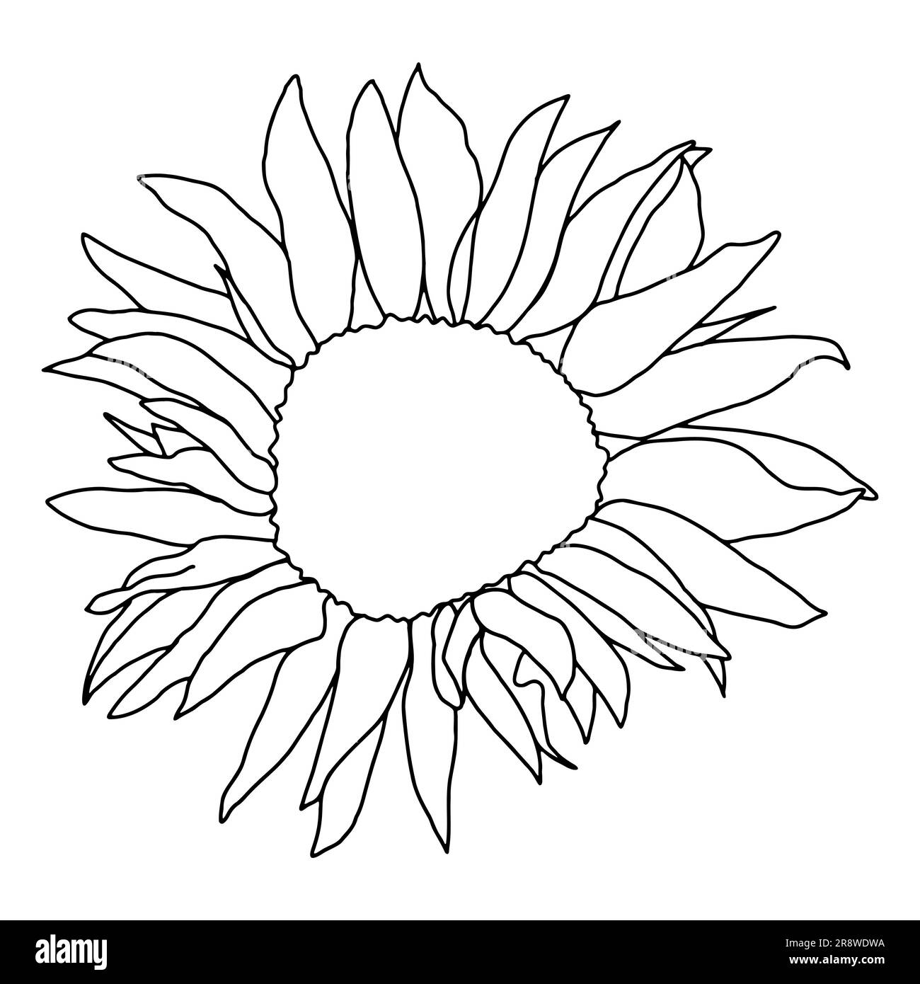 Decorazione di girasole carino per la decorazione della superficie. Elementi vettoriali floreali disegnati a mano Illustrazione Vettoriale