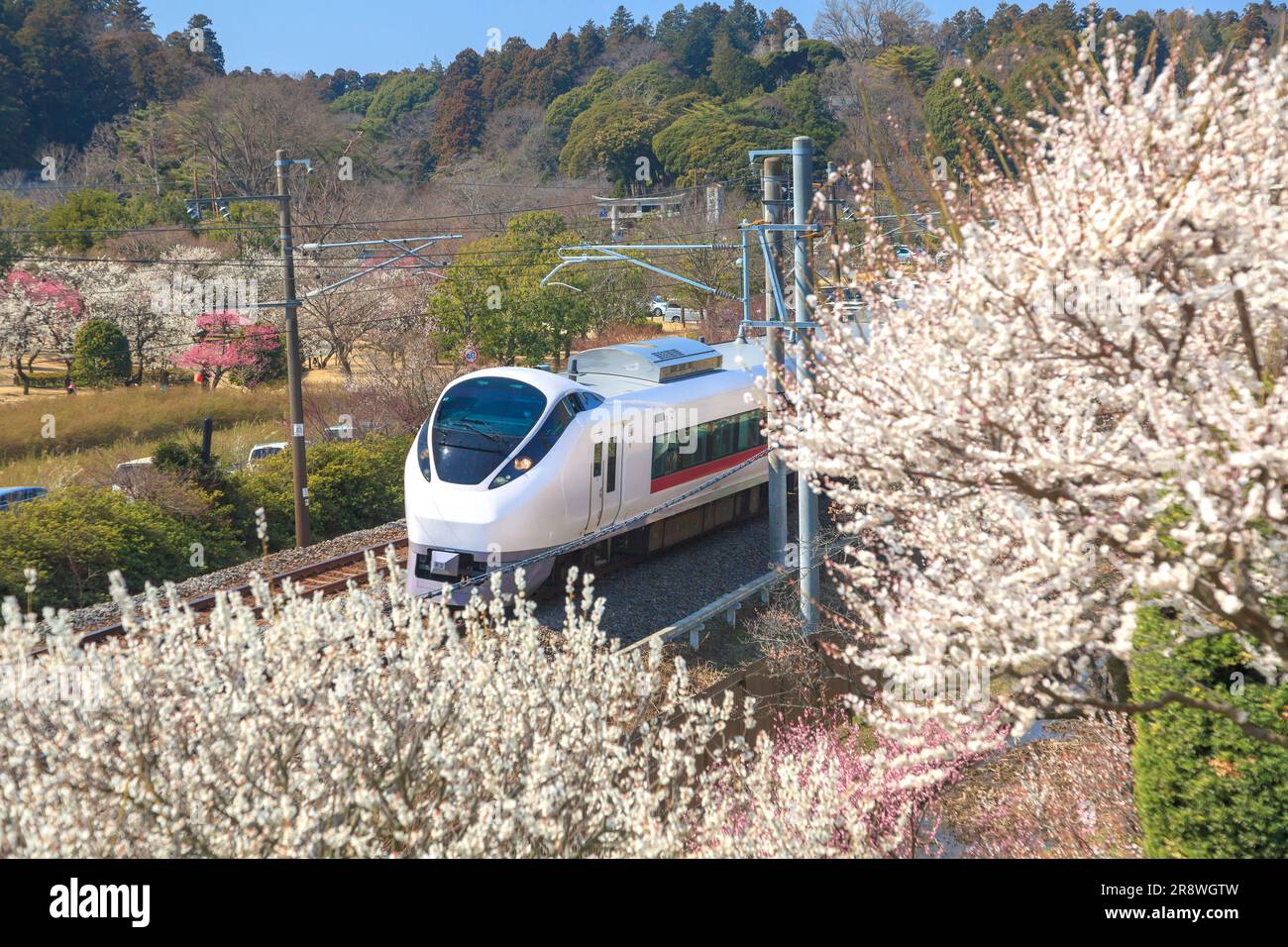 Treno espresso limitato e prugne del giardino Kairakuen Foto Stock