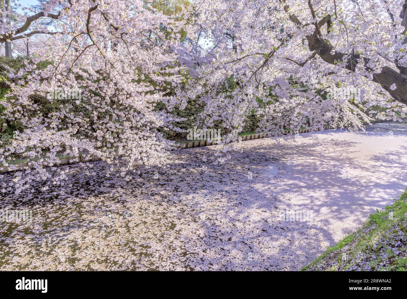 Hirosaki Castle Park Foto Stock